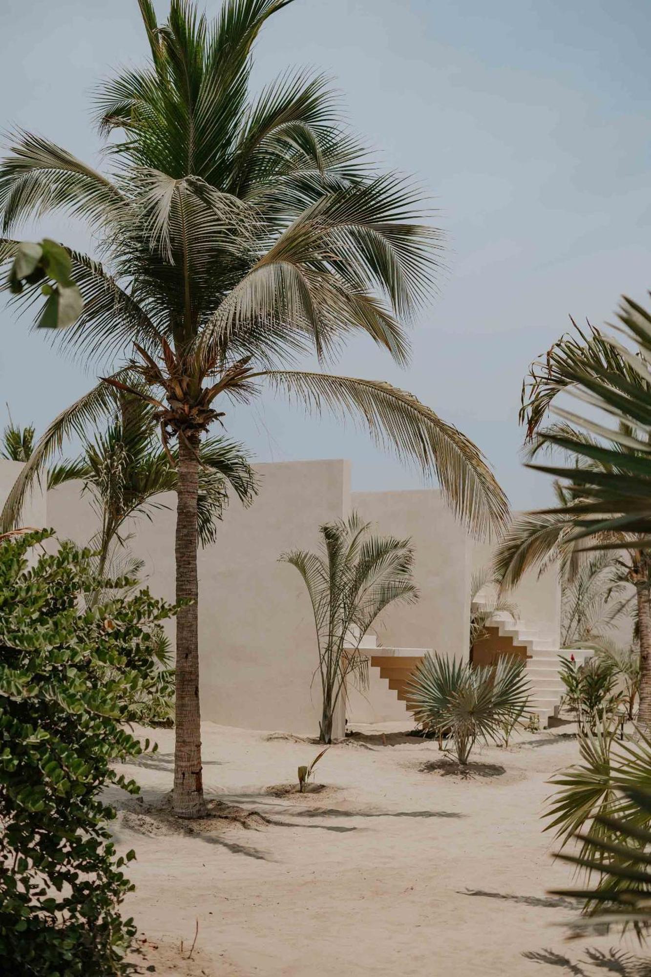 מלון פוארטו אסקונדידו Casa Yuma, Puerto Escondido מראה חיצוני תמונה